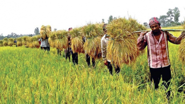 ব্যাংকে লেনদেন করেন ১ কোটি কৃষক