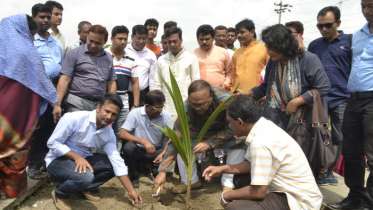 গাছ রক্ষার আহ্বান মেয়র লিটনের