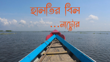 নাটোরের হালতি বিল যেন আরেকটি মিনি কক্সবাজার (ভিডিও)