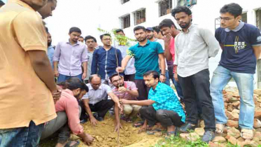 সিকৃবিতে প্রাধিকারের উদ্যোগে বৃক্ষরোপন 