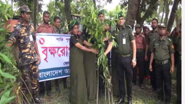 আনসার ও গ্রাম প্রতিরক্ষা বাহিনীর উদ্যোগে বৃক্ষরোপন 