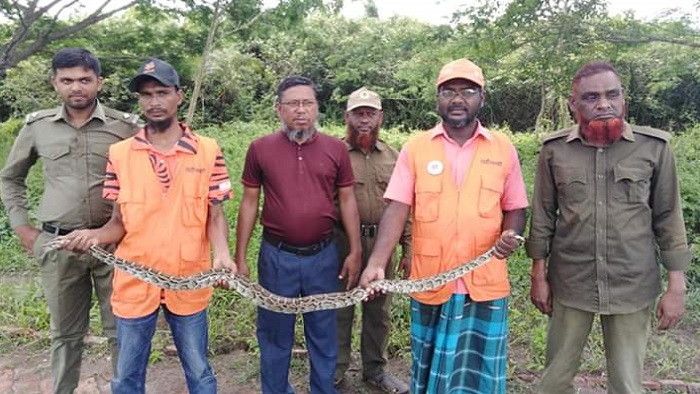 আট ফুট লম্বা সেই অজগর