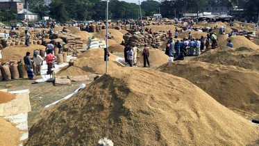২৬ টাকা দরে ধান কেনা শুরু আজ