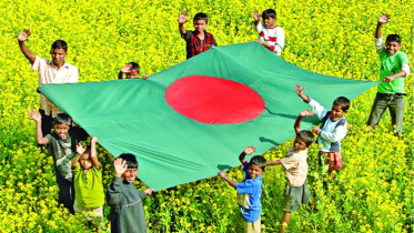 ৮ ডিসেম্বর: বরিশাল, পিরোজপুর, কুমিল্লা ও ব্রাহ্মণবাড়িয়া মুক্ত দিবস আজ