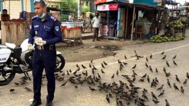 অভুক্ত পাখিদের আর্তনাদ শুনলেন পুলিশ কর্মকর্তা