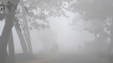 শৈত্যপ্রবাহের বিস্তৃতির সম্ভাবনা
