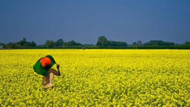 বাংলাদেশ এগোল ১৮ ধাপ