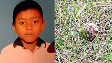 এবার মিলল শিশু হাসানের বিচ্ছিন্ন মাথা