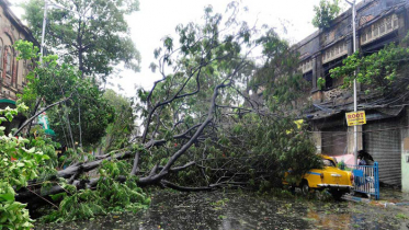 পশ্চিমবঙ্গে আম্পানের তাণ্ডবে ১২ জনের মৃত্যু