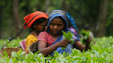 কর্ম ক্ষেত্রে সিলেটের নারীদের অংশগ্রহণ কম