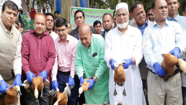 আলতাদিঘী জাতীয় উদ্যানে ২৯টি পরিজায়ী পাখি অবমুক্ত 