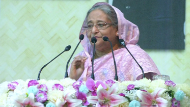 আমাদের শিল্প-সংস্কৃতিকে বিশ্ব দরবারে পৌঁছাতে চাই: প্রধানমন্ত্রী