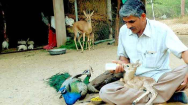 হাজার প্রাণীর জীবন বাঁচিয়েছেন টায়ার মিস্ত্রি!