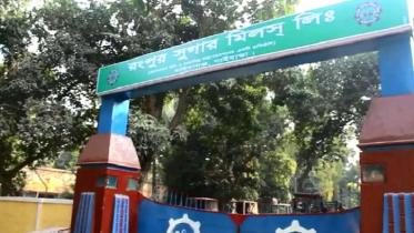 বেতন যেন সোনার হরিণ