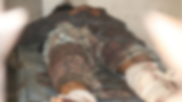 শেরপুরে ট্রাকচাপায় অটোরিকশা যাত্রী নিহত, আহত ৫