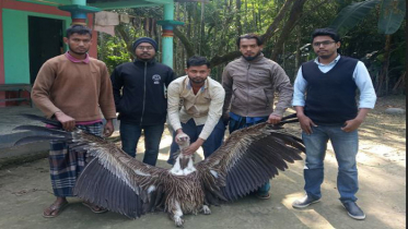 সুনামগঞ্জে বিপন্ন প্রজাতির শকুন উদ্ধার