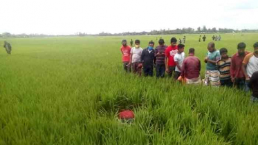 ধানক্ষেতে মিলল স্কুলছাত্রের গলাকাটা লাশ