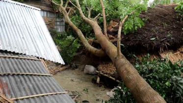 ঠাকুরগাঁওয়ে কালবৈশাখীর তান্ডবে শতাধিক ঘরবাড়ি বিধ্বস্ত