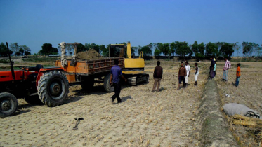ঠাকুরগাঁওয়ে ইটভাটায় ধ্বংস হচ্ছে শত শত আবাদি জমি