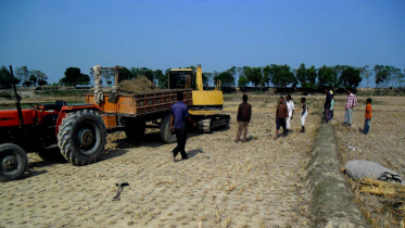 ঠাকুরগাঁওয়ে ইটভাটায় ধ্বংস হচ্ছে শত শত আবাদি জমি