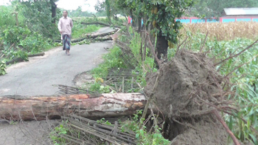 ঝড়ের তাণ্ডবে লণ্ডভণ্ড ঠাকুরগাঁওয়ের ৬ গ্রাম