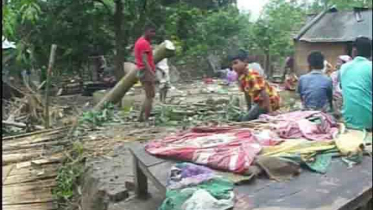 ঠাকুরগাঁওয়ে কালবৈশাখীর কবলে কৃষকের মৃত্যু