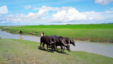 আংশিক মেঘলা আকাশসহ আবহাওয়া শুষ্ক থাকবে