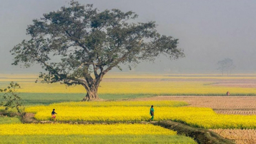 দিনের তাপমাত্রা অপরিবর্তিত থাকবে