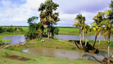 আবহাওয়া শুষ্ক থাকবে