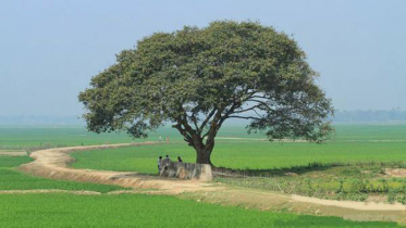 যেমন থাকবে আজকের আবহাওয়া