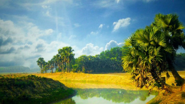 দিন ও রাতের তাপমাত্রা হ্রাস পাবে