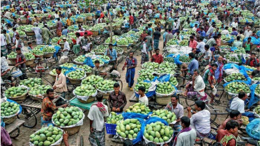 বিনা ভাড়ায় প্রান্তিক কৃষকের ফল পৌঁছে দেবে ডাকঘর