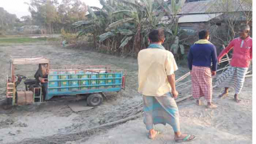 চৌহালীতে নসিমন খাদে পড়ে গরু ব্যবসায়ী নিহত 