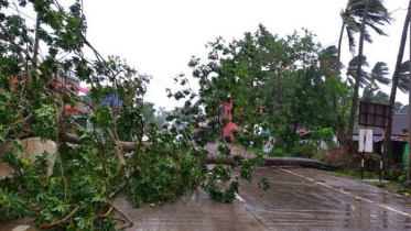 ভারতের ওডিশায় আঘাত হানলো আম্ফান
