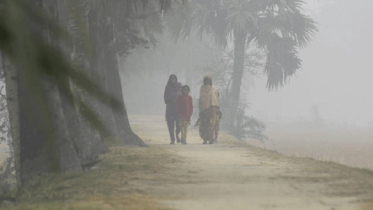 শেষরাতে হালকা কুয়াশা পড়ার সম্ভাবনা