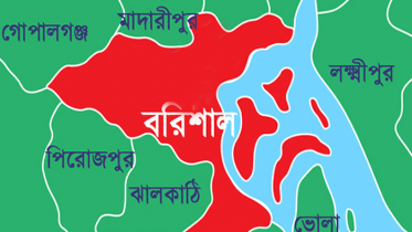 বরিশালে বড় ভাইদের হাতে ছোট ভাই খুন