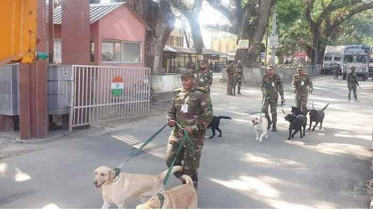 ভারতীয় ১০টি প্রশিক্ষণ প্রাপ্ত কুকুর সেনাবাহিনীর কাছে হস্তান্তর