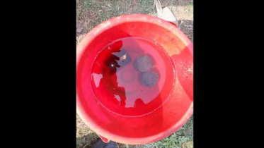 আলমডাঙ্গায় তিনটি বোমা সদৃশ বস্তু উদ্ধার