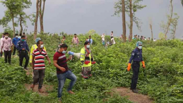 ঠাকুরগাঁওয়ে নারীর অর্ধগলিত মরদেহ উদ্ধার
