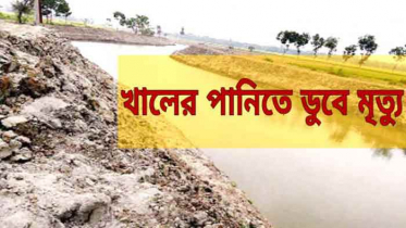 কলারোয়ায় পানিতে ডুবে কিশোরীর মৃত্যু 