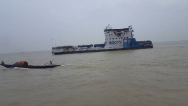 দৌলতদিয়া-পাটুরিয়া নৌরুটে ফেরি চলাচল বন্ধ