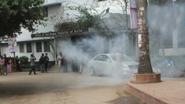 ঢাবিতে ছাত্রদলের সমাবেশ, দফায় দফায় ককটেল বিস্ফোরণ