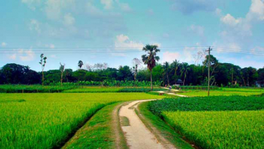 সুন্দর প্রকৃতির খোঁজে ইডেন বাংলাদেশের যাত্রা