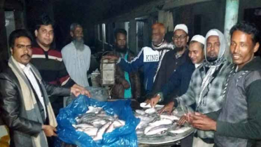 কলারোয়ায় জাটকা ইলিশ জব্দ