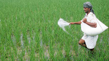 কমেছে সারের দাম