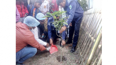 সামাজিক অবক্ষয় রোধে কুড়িগ্রামে ‘গ্রীণ ভিলেজ’র আত্মপ্রকাশ