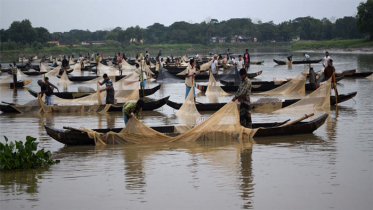 হালদায় ডিম সংগ্রহে রেকর্ড