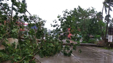 পশ্চিমবঙ্গে আছড়ে পড়েছে ‘আম্পান’
