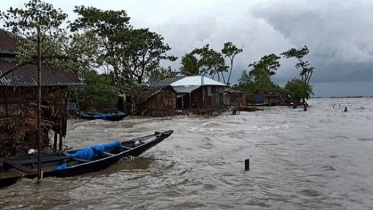 আম্পানের আঘাতে লণ্ডভণ্ড খুলনা উপকূল