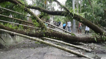 ঝালকাঠিতে বাঁধ ভেঙ্গে ২০ গ্রাম প্লাবিত, ব্যাপক ক্ষয়ক্ষতি